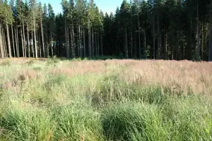 Amerang / Lkrs. Rosenheim